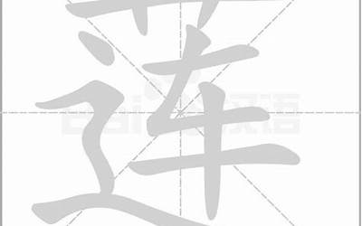 莲字五行属什么