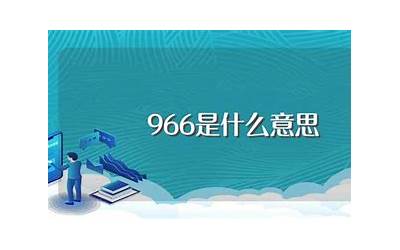 966是什么意思