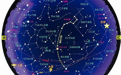 星座6月