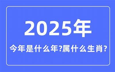 2025是什么年