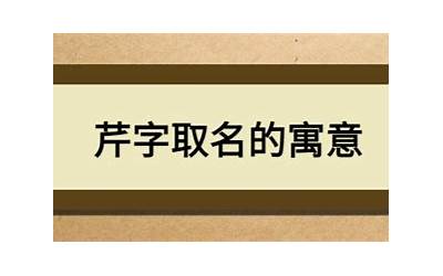 芹字取名的寓意