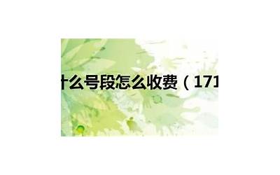 171是什么意思