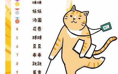 猫咪起名字