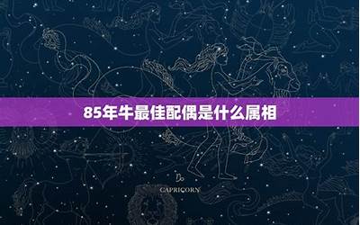 85年是属什么的