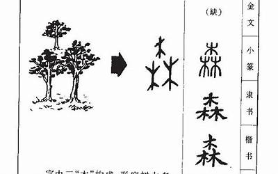 森的意思