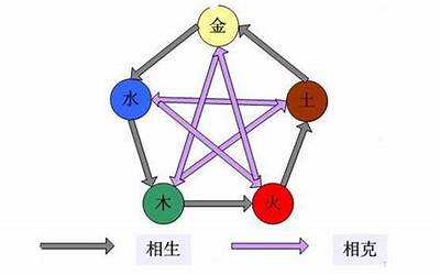 芳五行属性是什么