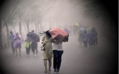 梦见雨下的很大