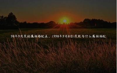 98年什么年