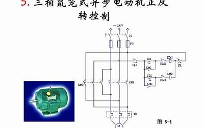 正反