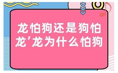 龙怕狗还是狗怕龙