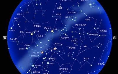 8月8星座