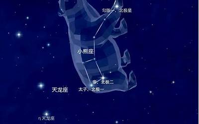 星座熊