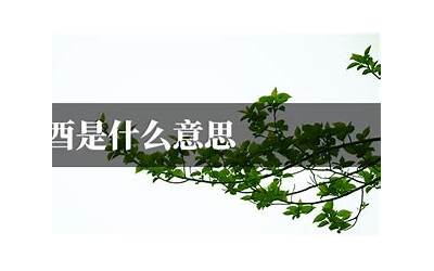 乙酉是什么意思