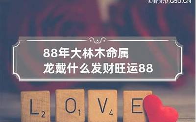 88年什么命