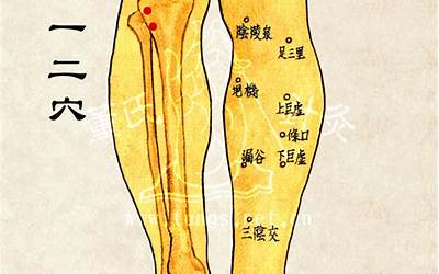 双龙入穴