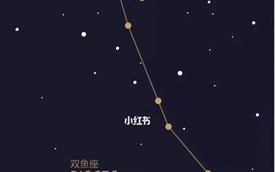 上升星座双鱼