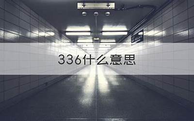 336什么意思