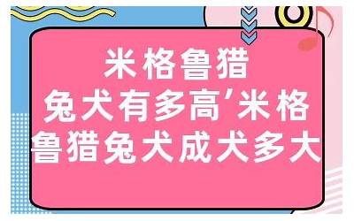 从狗的行为看房子风水