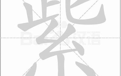 紫字查什么部首