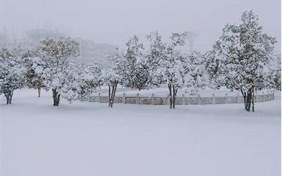 梦见下雪是什么意思