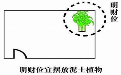 吉位和财位在哪