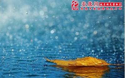 梦见下小雨是什么征兆