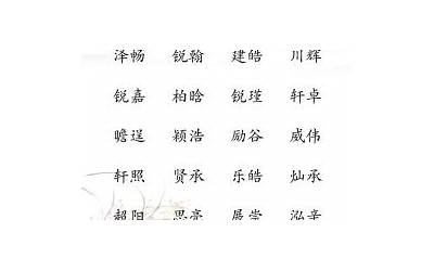 带辰的男孩名字