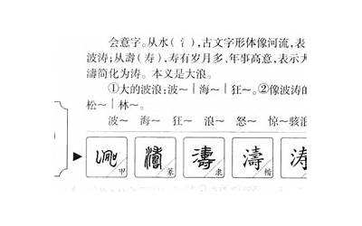 涛的意思