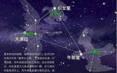 牛郎星是属于什么星座