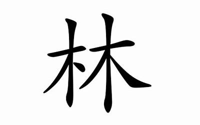 姓林的名字