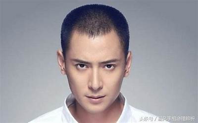 眉峰高的男人面相(分析不同眉形眉峰高的面相)