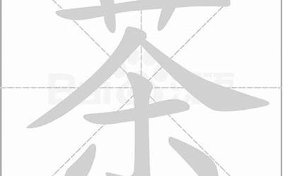 茶字(茶字五行属什么)