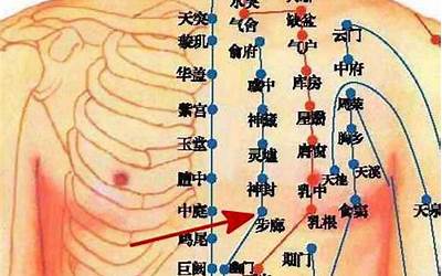 胸口穴位(胸部上的穴位有哪些)