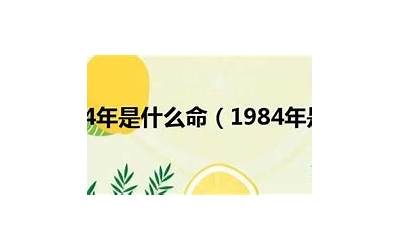 84年多少岁(1984年是什么命)