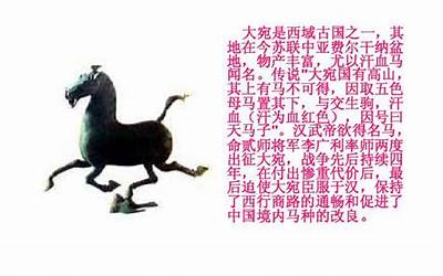 千里马文言文(千里马文言文翻译现代文)