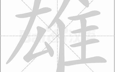 雄字怎么拼音(雄的拼音读音)