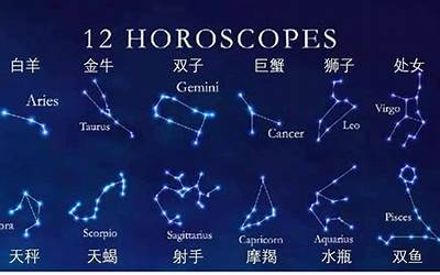 星座的血型(十二星座什么血型)