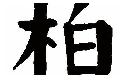 柏字五行属什么(柏字的五行属性是什么)