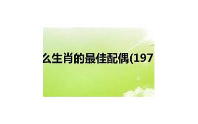 1973年多少岁(1973年属什么多大)