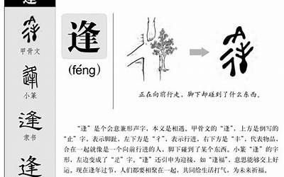 逢的意思(逢字五行属什么)