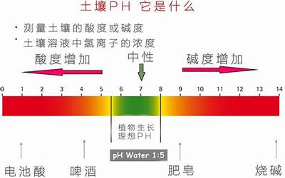 生生生(盐度和酸碱度对水生生物有什么影响)