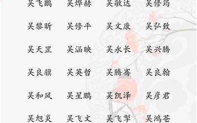 姓吴的男孩名字大全(姓吴的最佳姓名)