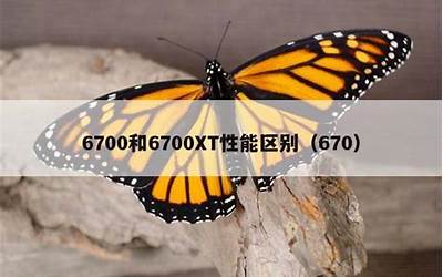 670是什么意思(670587是什么意思)