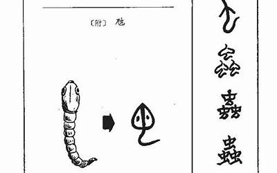 虫字(虫字取名的寓意)