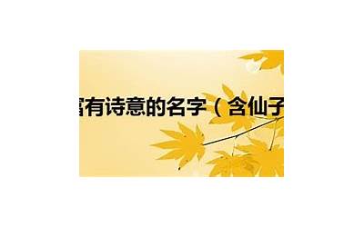 诗意名字(富有诗意的名字)