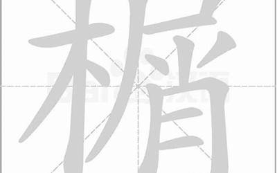 木真(木字旁加一个真念什么字)