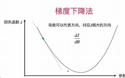 正方向(数学中的正方向是什么意思)