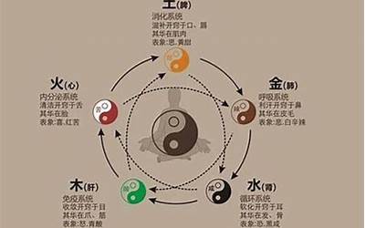 宝五行属什么(宝字的五行是什么)