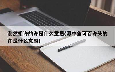 王许(王许是什么意思)