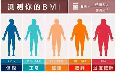 bmi25(体重指数25算胖吗)